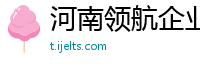 河南领航企业管理咨询有限公司